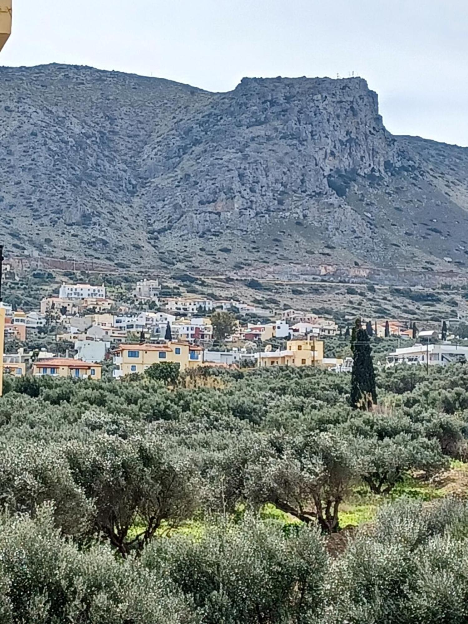 Olympic Star Aparthotel Χερσόνησος Δωμάτιο φωτογραφία